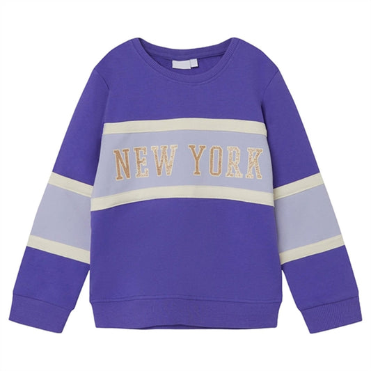 Name it Purple Corallites Barb Sweatshirt