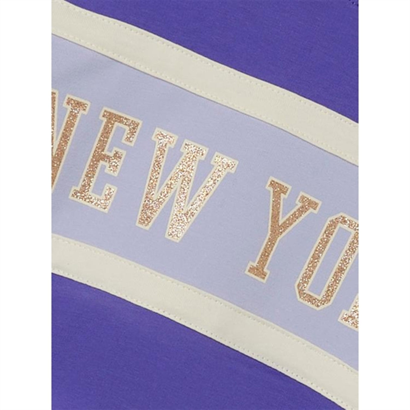 Name it Purple Corallites Barb Sweatshirt