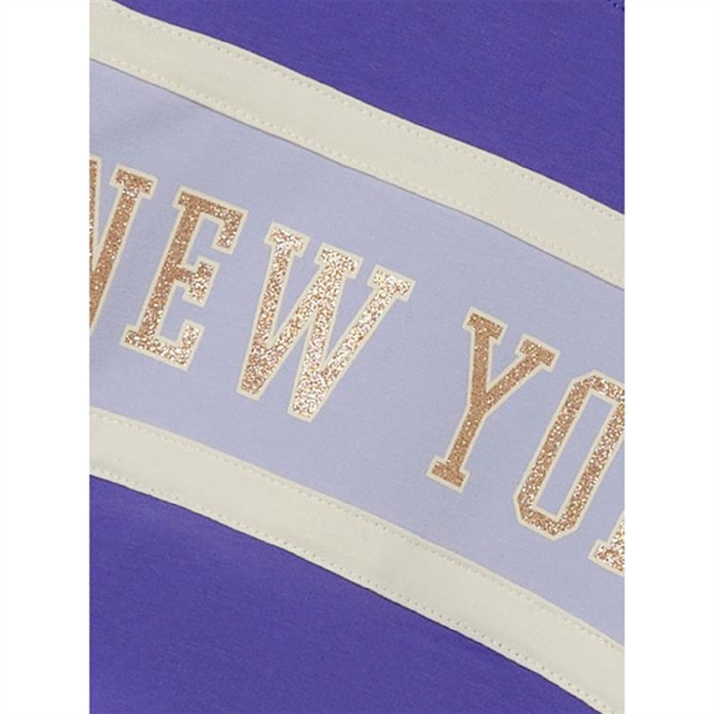 Name it Purple Corallites Barb Sweatshirt