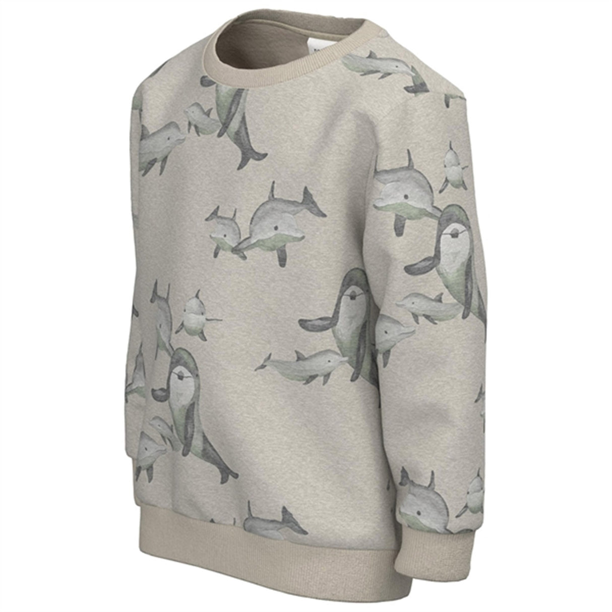 Name it Peyote Melange Feliks Sweatshirt