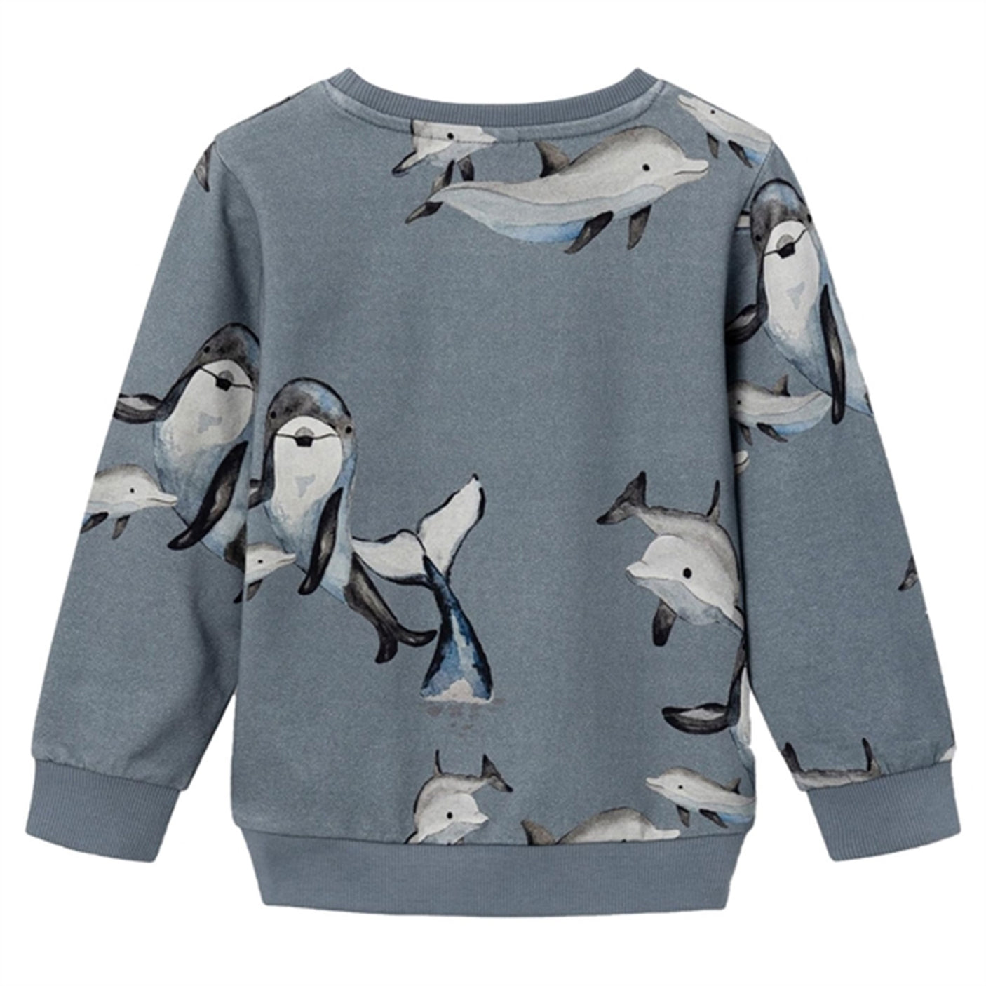 Name it Stormy Weather Feliks Sweatshirt