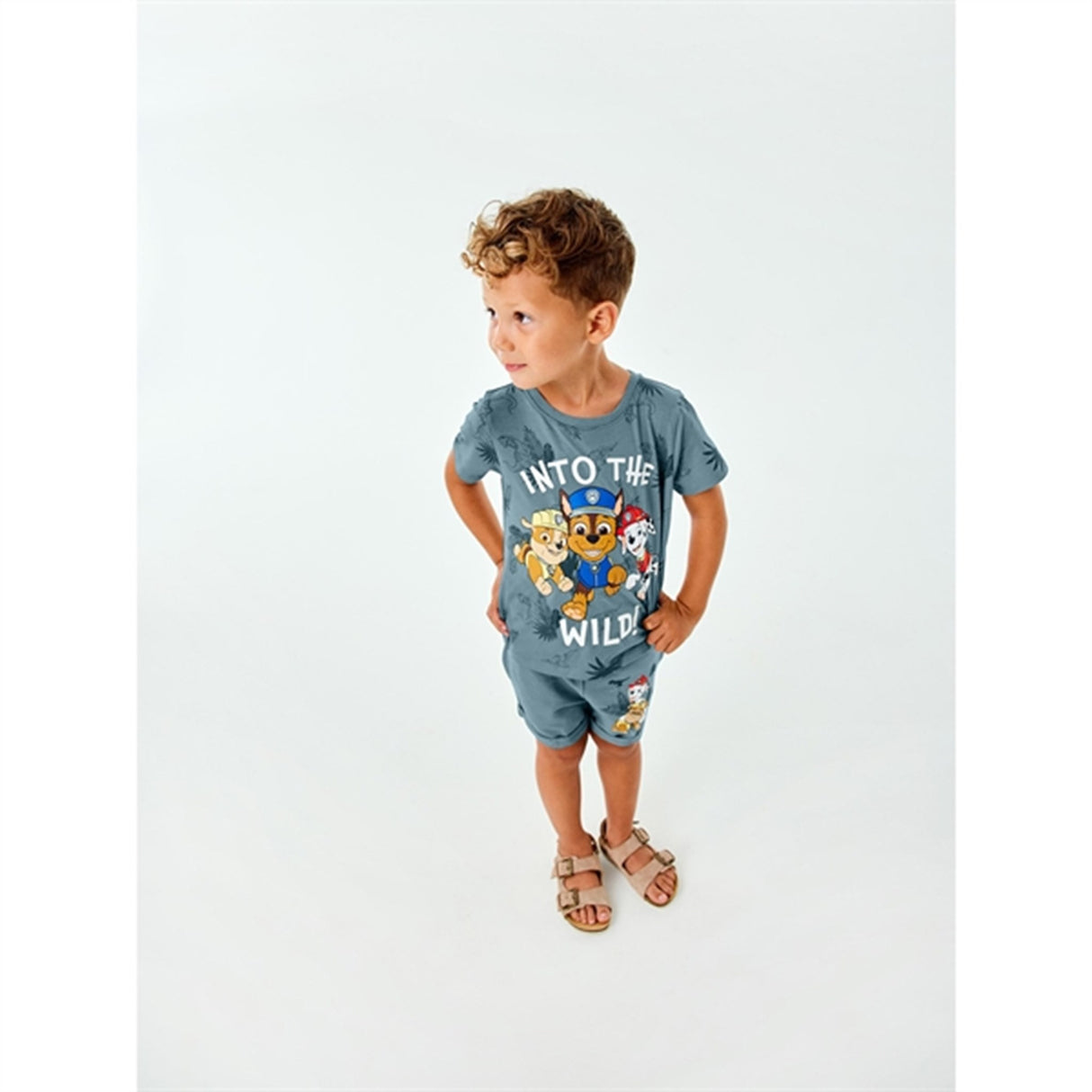 Name it Smoke Blue Mont Paw Patrol T-Shirt