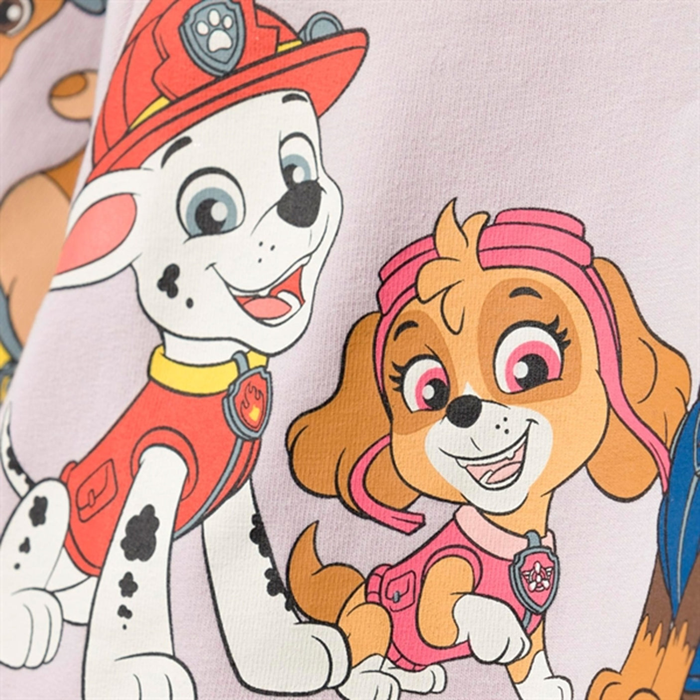 Name it Lavender Gray Jeba Paw Patrol Sweatshirt