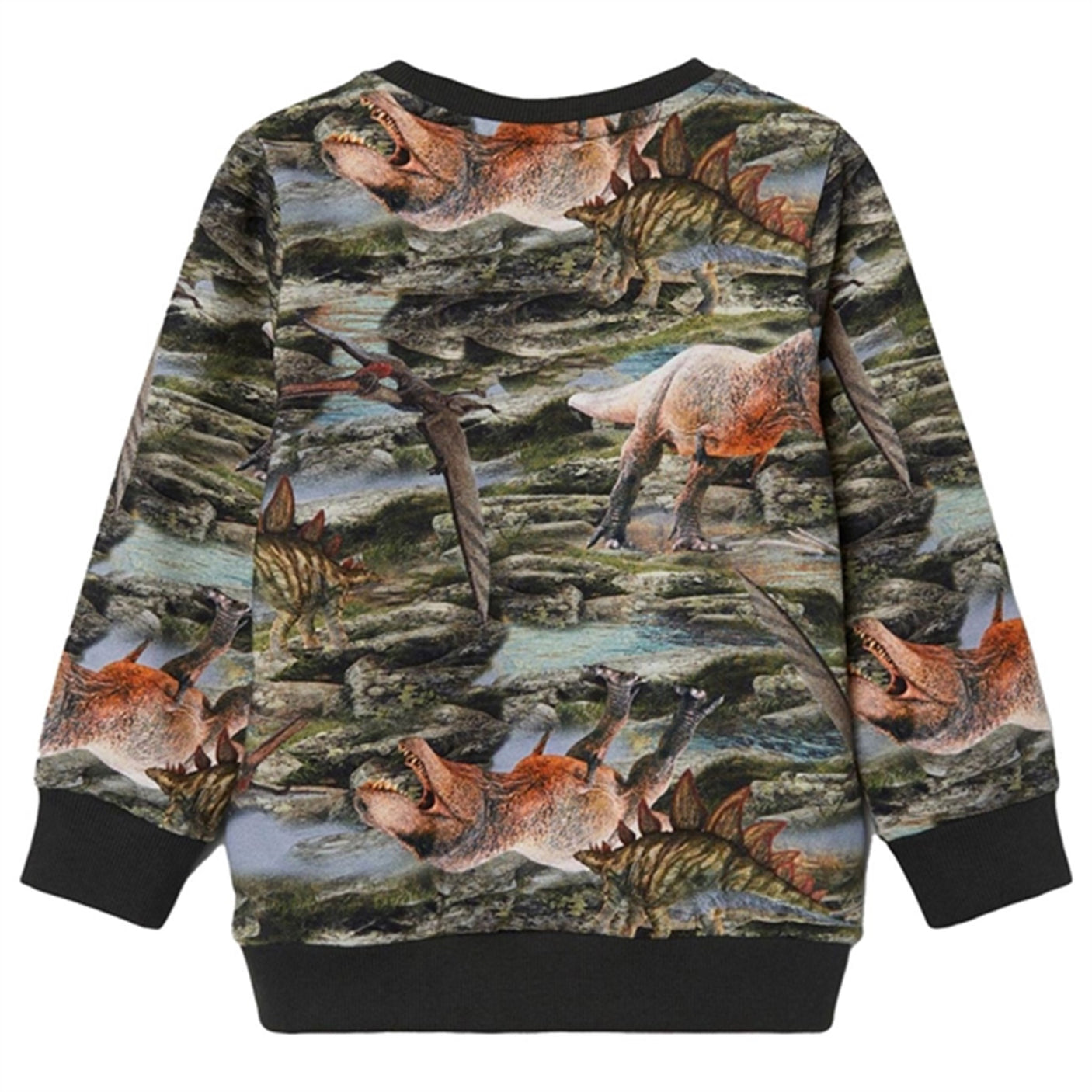 Name it Thyme Hino Sweatshirt