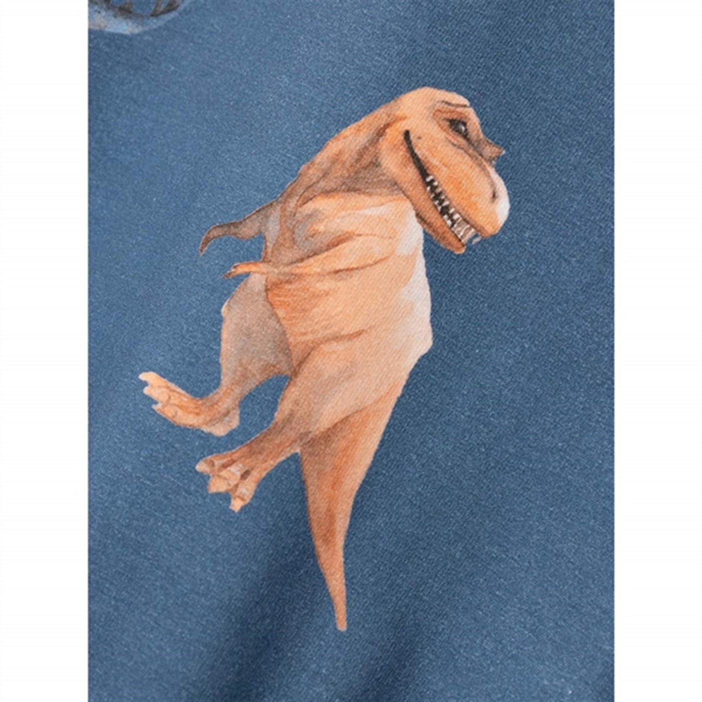 Name it Bluefin Nodino Sweatshirt