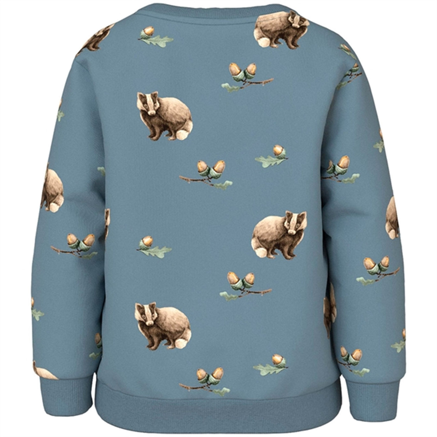 Name it Citadel Linnus Sweatshirt