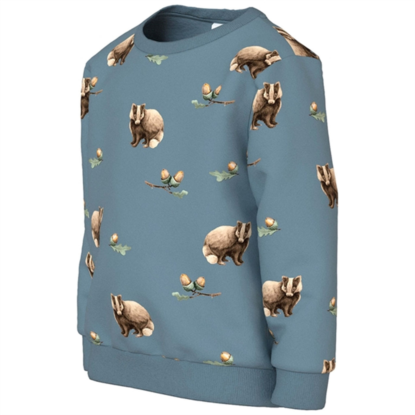 Name it Citadel Linnus Sweatshirt