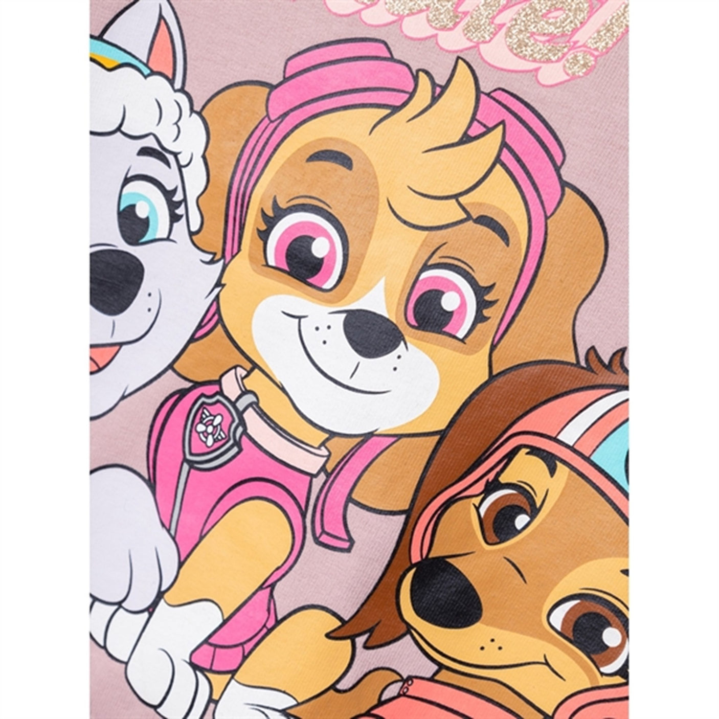 Name it Deauville Mauve Julle Paw Patrol Sweatshirt