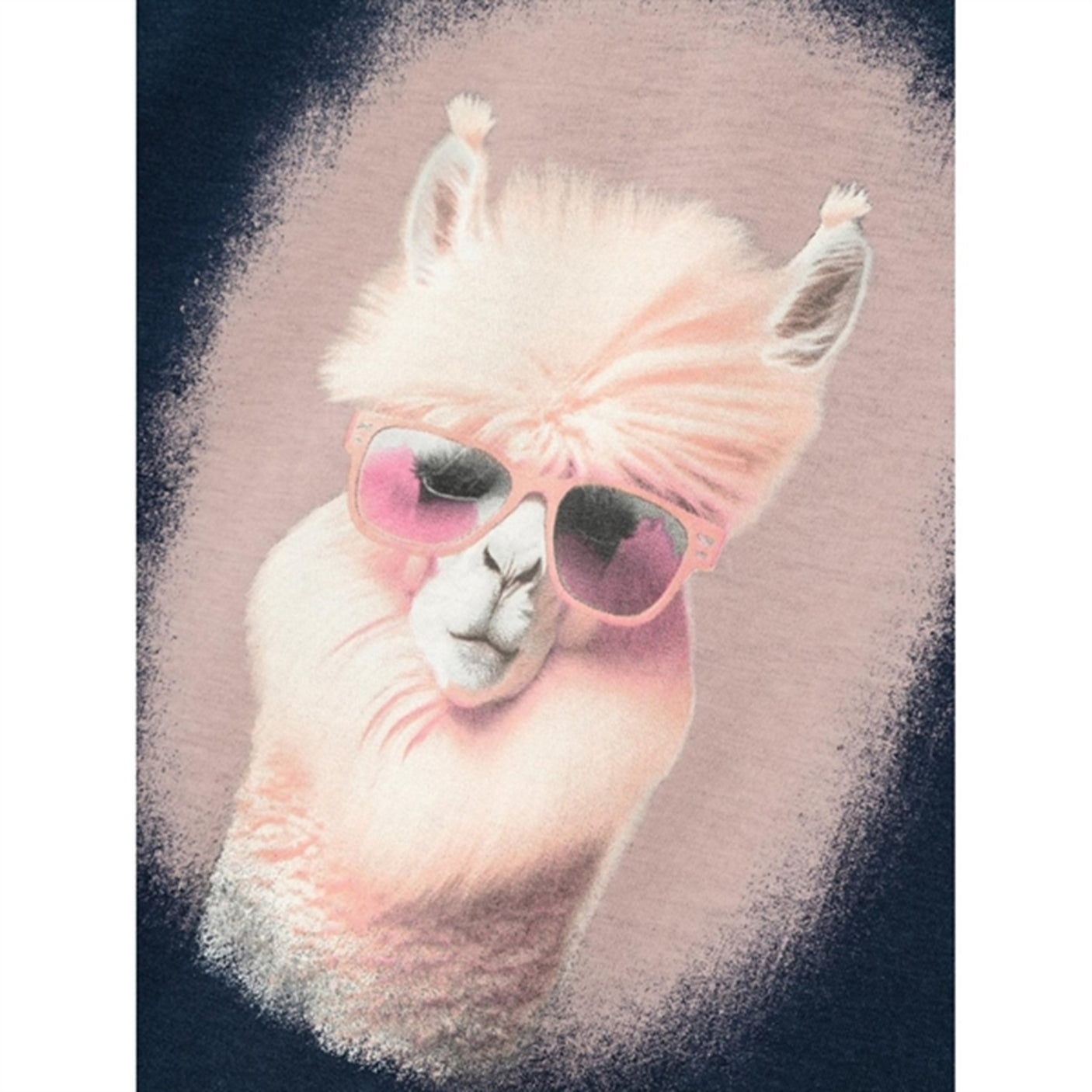 Name it Dark Sapphire Votea T-Shirt