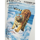 Name it Jet Stream Felo T-Shirt