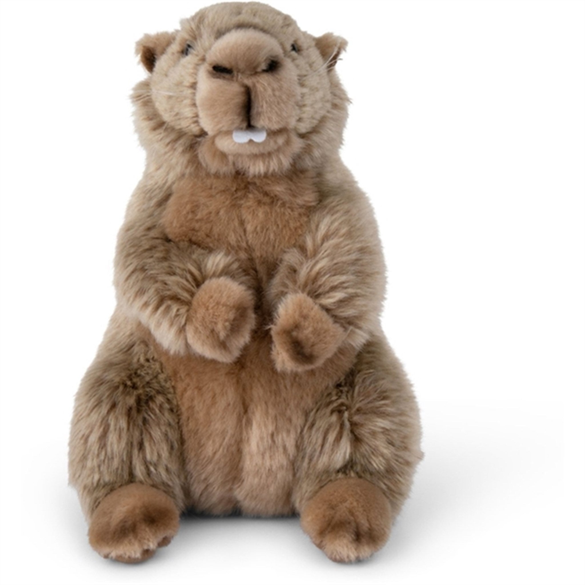 Bon Ton Toys WWF Plush Marmots 23 cm 2