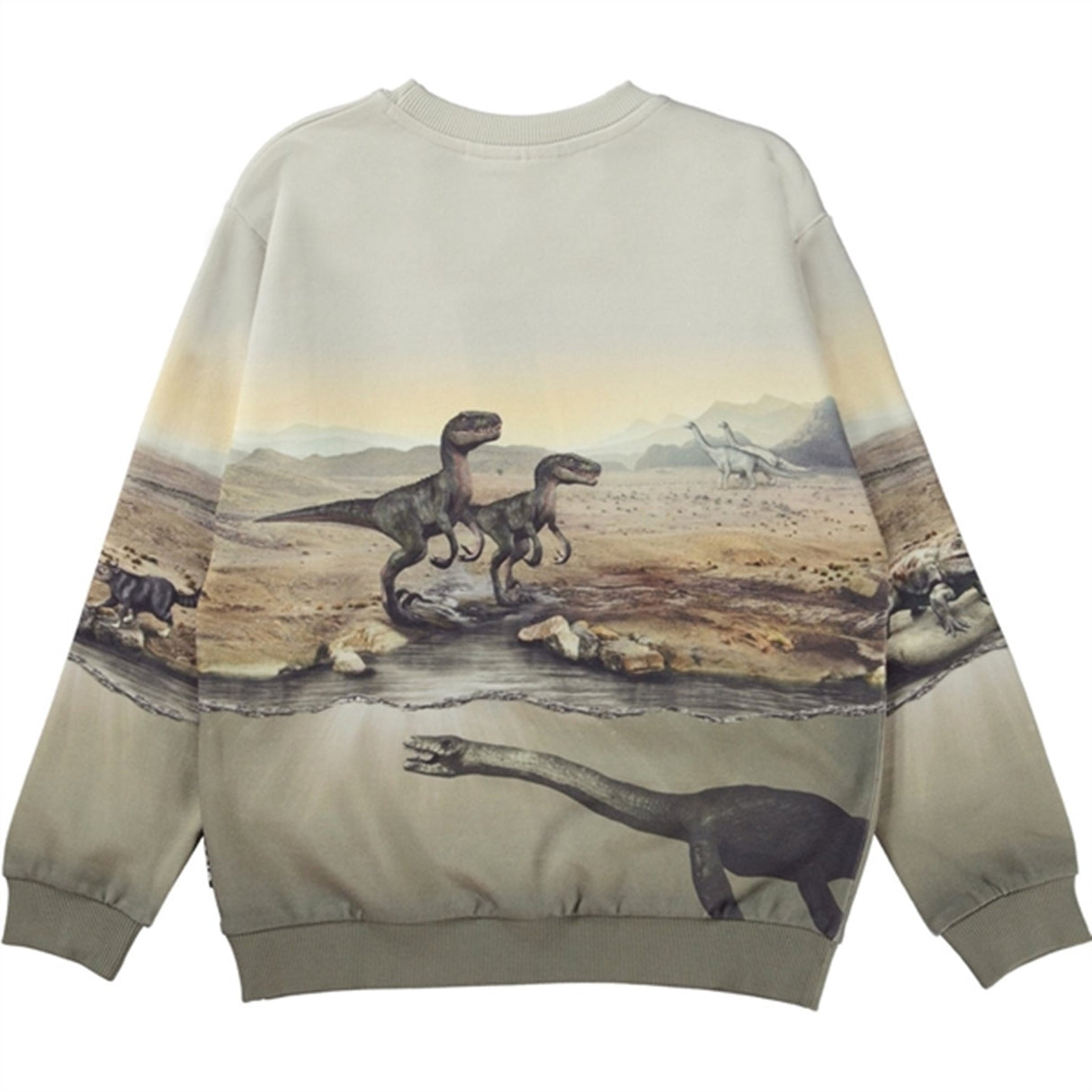 Molo Dry Land Dinos Miksi Sweatshirt