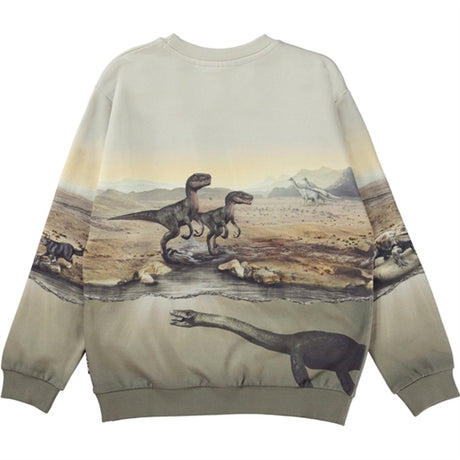 Molo Dry Land Dinos Miksi Sweatshirt