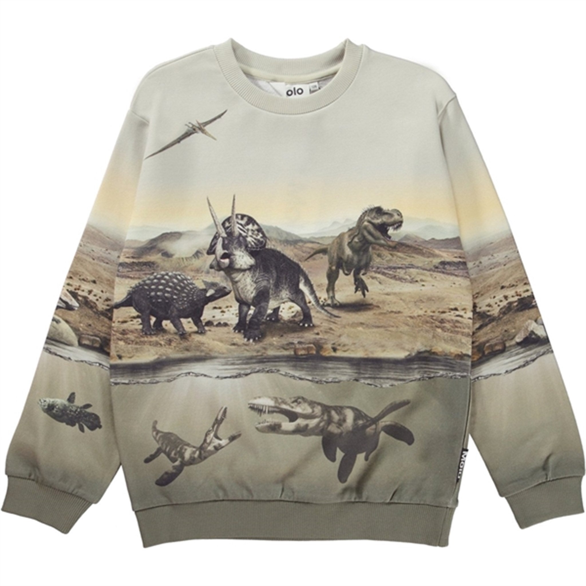 Molo Dry Land Dinos Miksi Sweatshirt