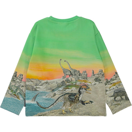 Molo Colourful Dinos Mountoo Sweatshirt