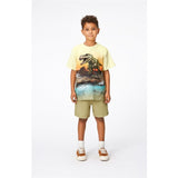 Molo Volcano Dino Riley T-Shirt
