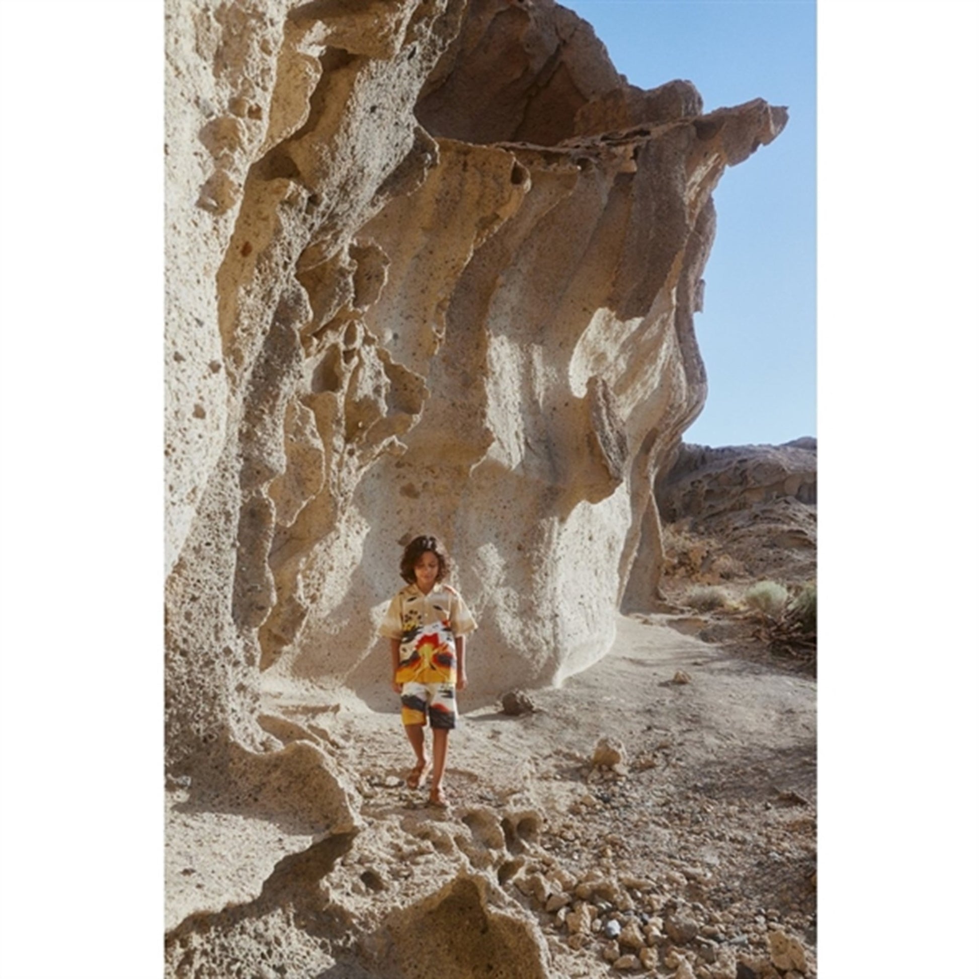 Molo Alien Tourists Adi Shorts