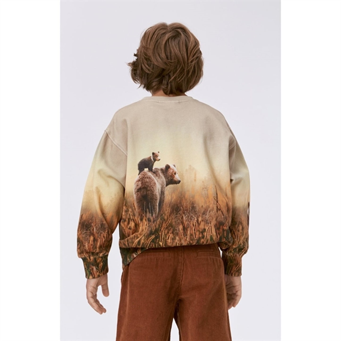Molo Bear Life Mattis Sweatshirt