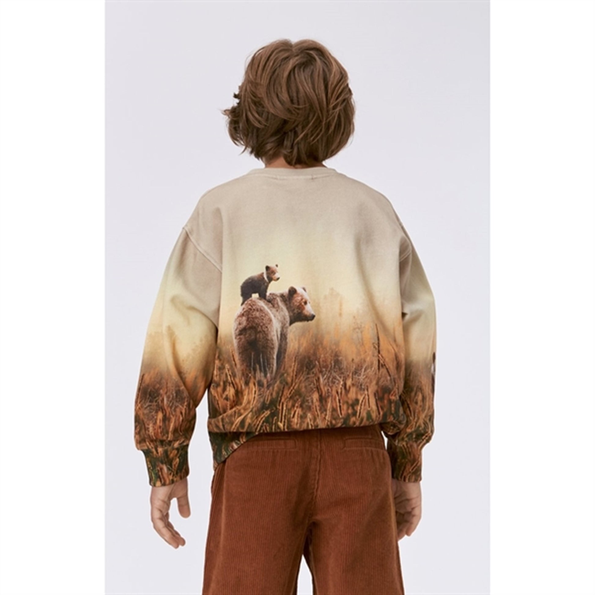 Molo Bear Life Mattis Sweatshirt