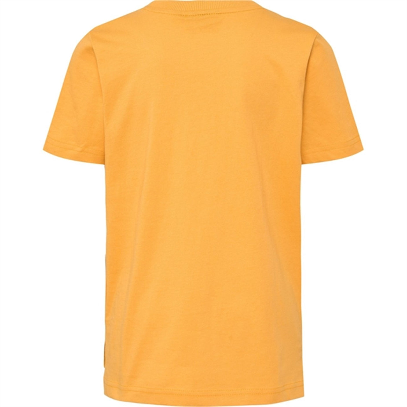 Hummel Butterscotch Rock T-shirt