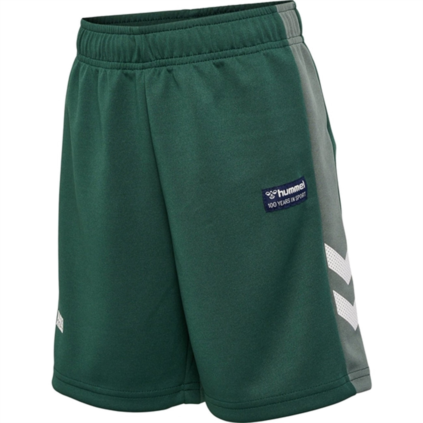 Hummel Pineneedle Ruphus Shorts