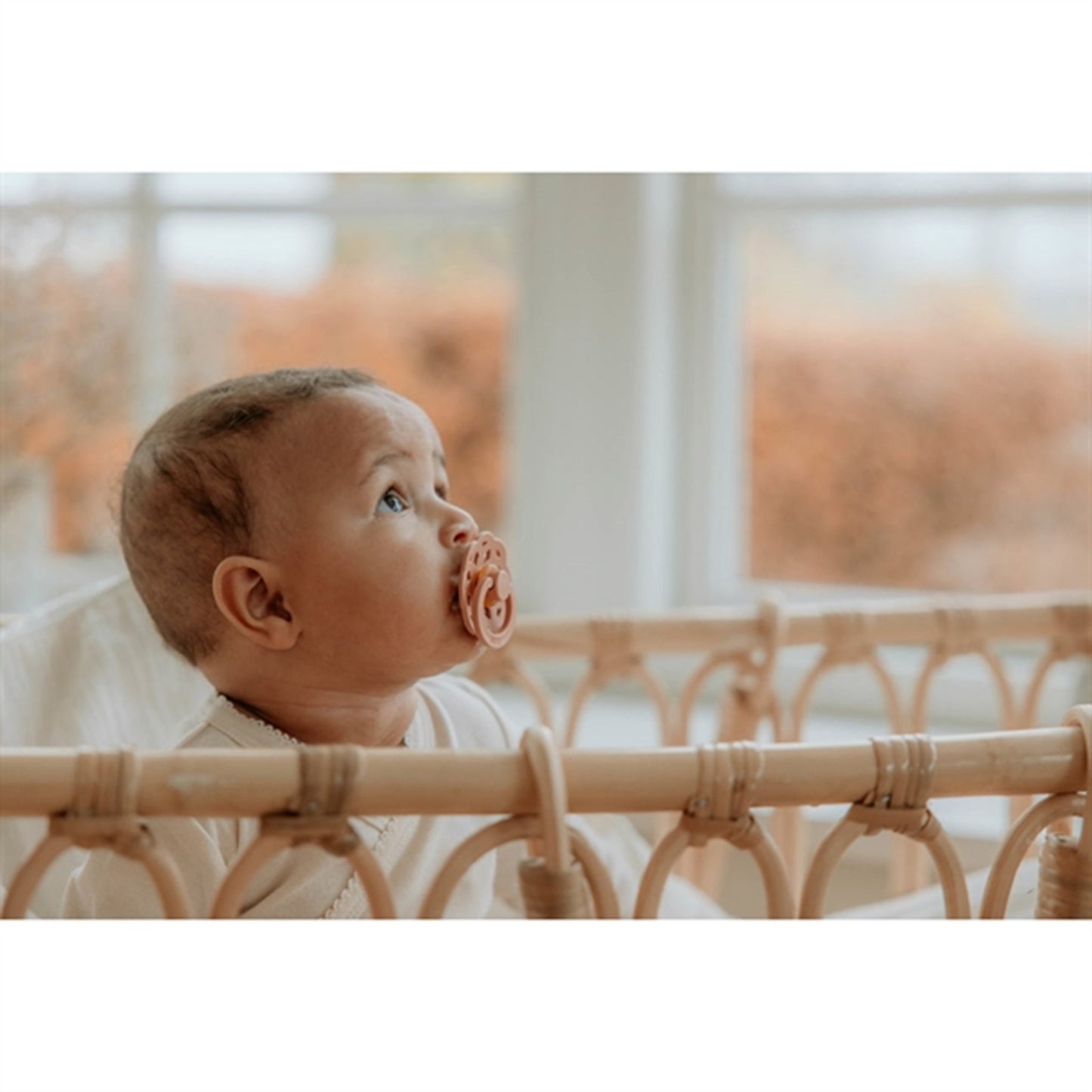 Bibs Boheme Latex Pacifier 2-pack Woodchuck/Blush