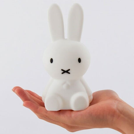Mr. Maria Miffy Bundle Of Light