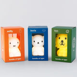 Mr. Maria Miffy Bundle Of Light