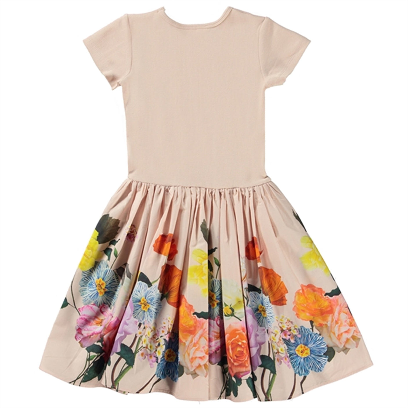 Molo Scent of Roses Cissa Dress