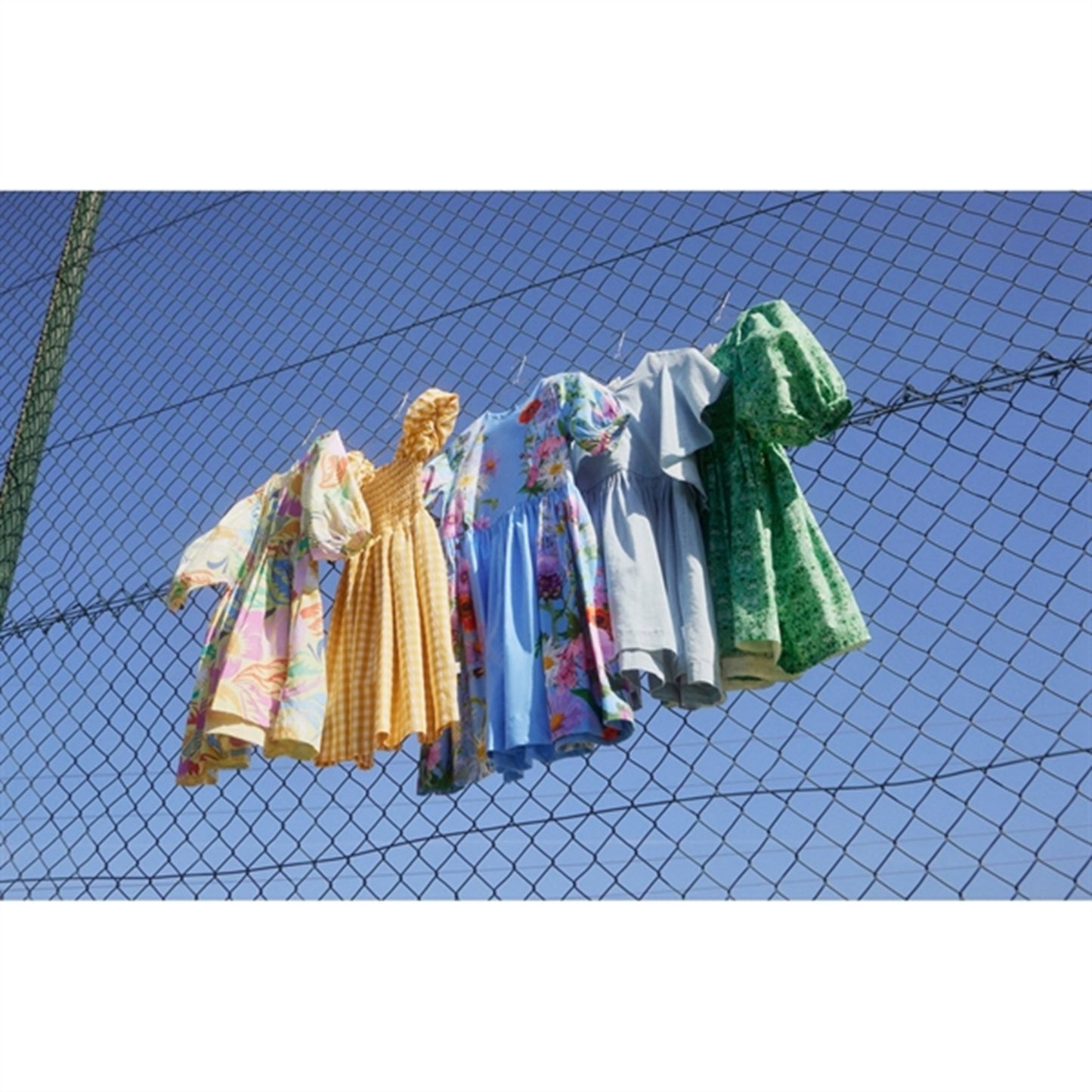 Molo Charleston Floral Caio Dress