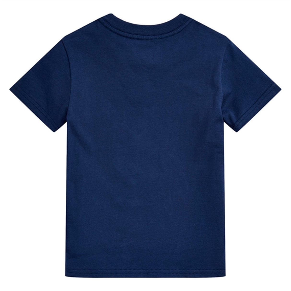 Polo Ralph Lauren T-Shirt Freshwater Sa Bear