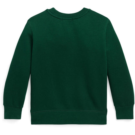 Polo Ralph Lauren Sweatshirt Moss Agate/C3950 Wine