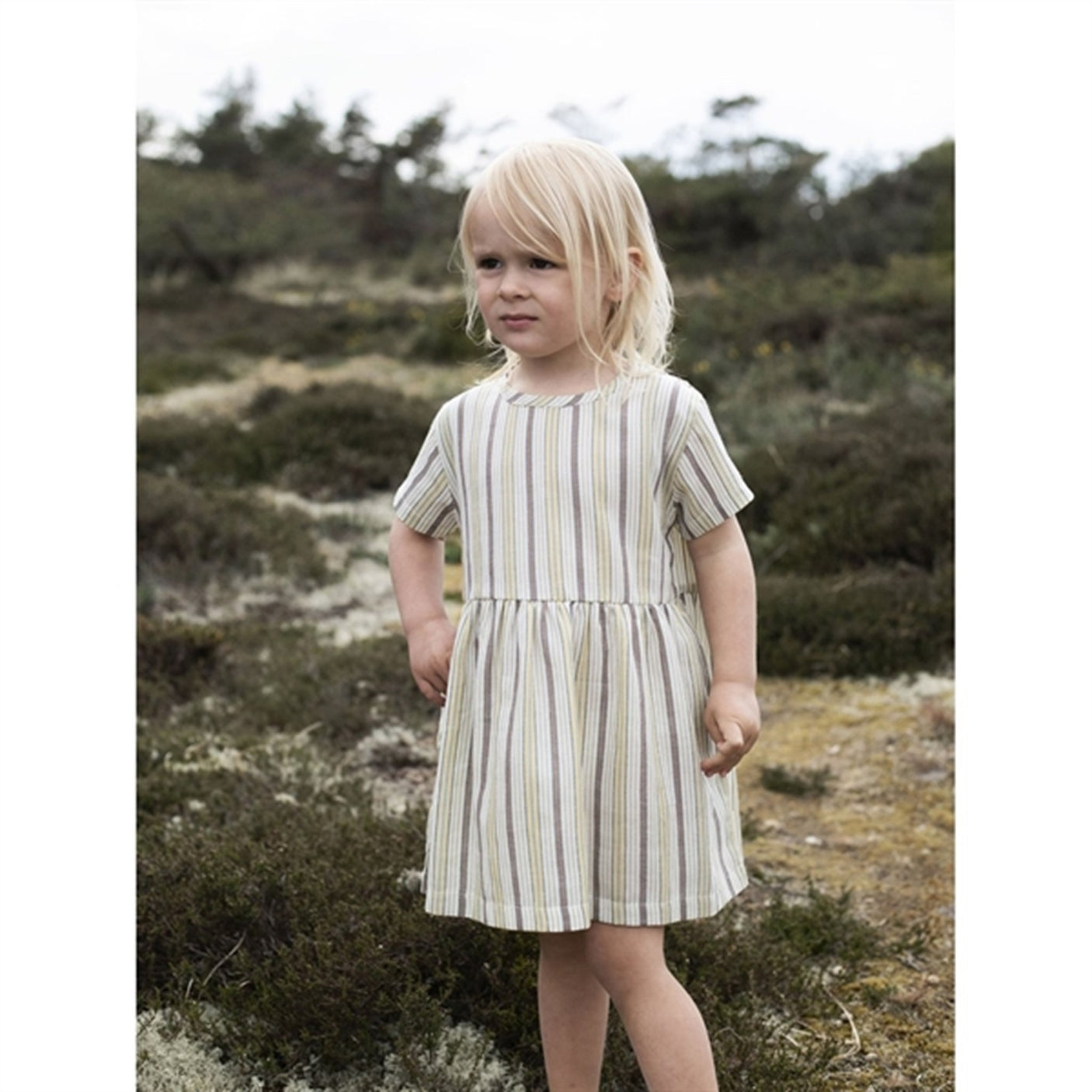 Serendipity Misty Stripes Loose Dress