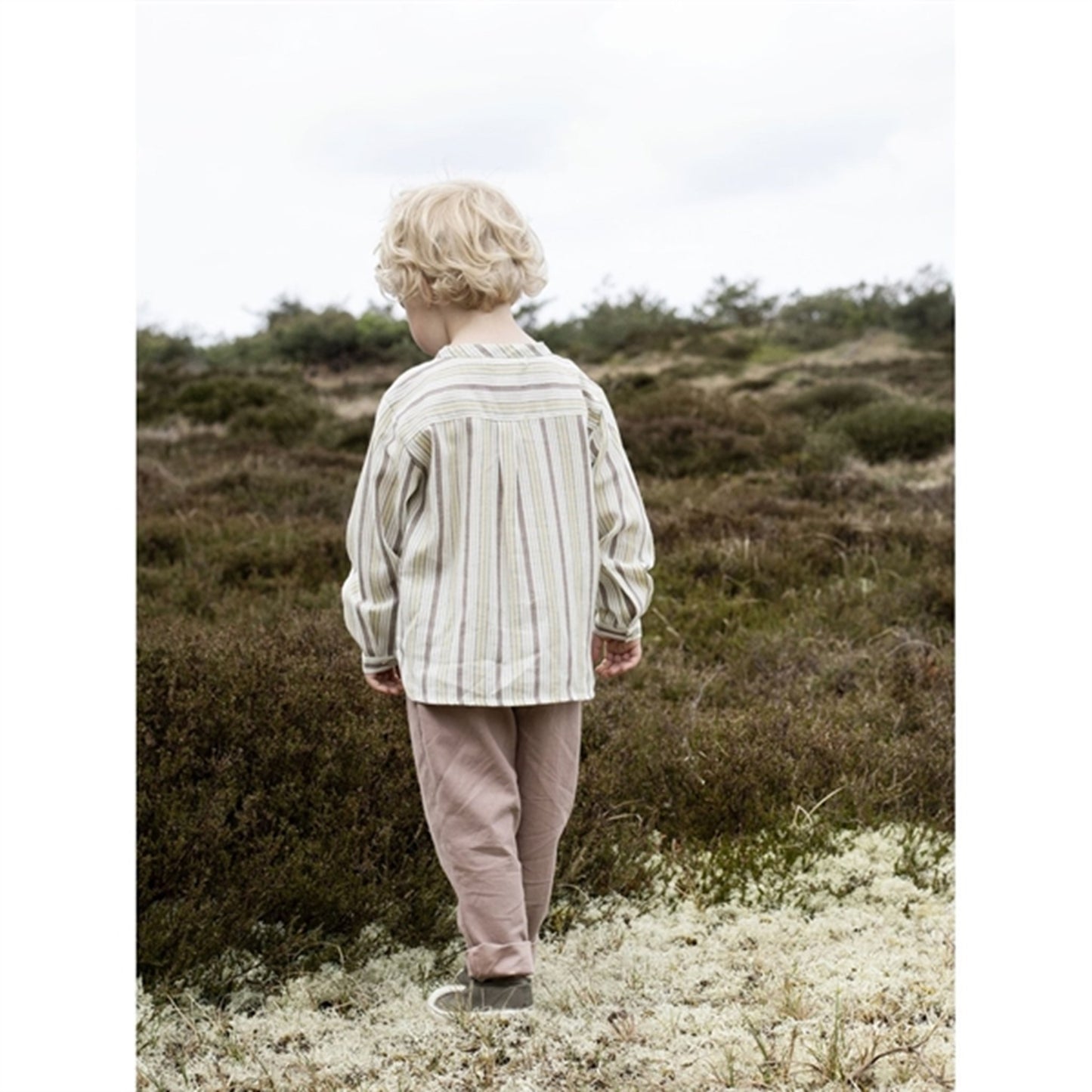 Serendipity Misty Stripes Shirt