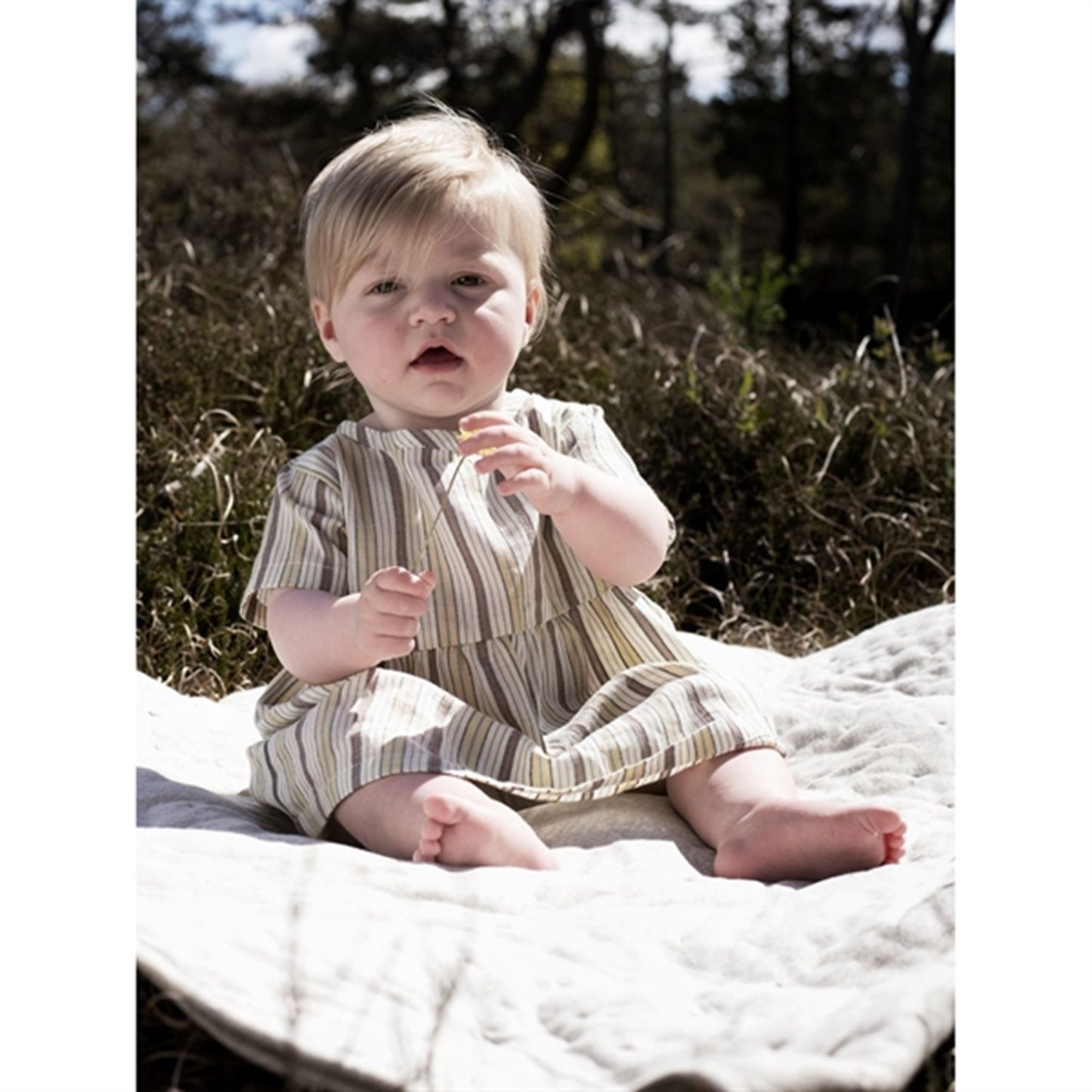 Serendipity Misty Stripes Baby Flair Dress