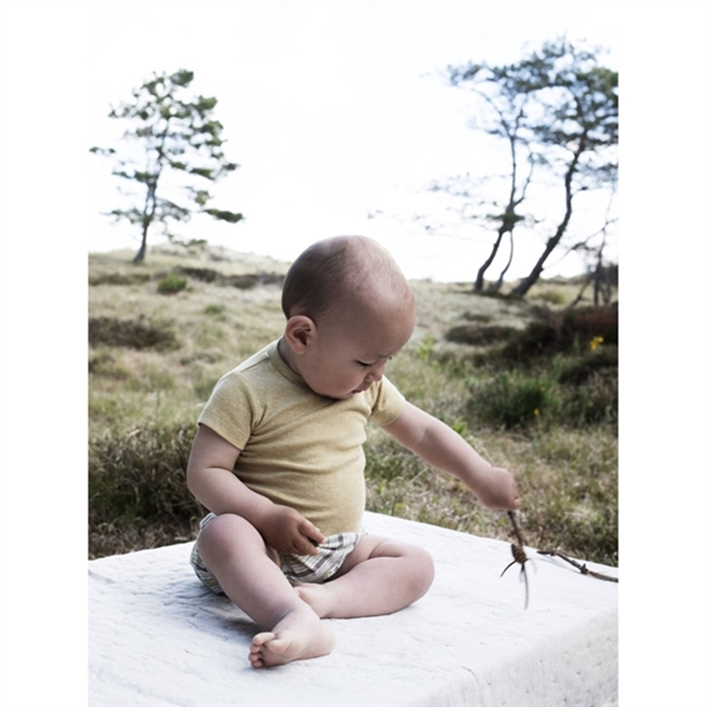 Serendipity Chamomile Baby Body