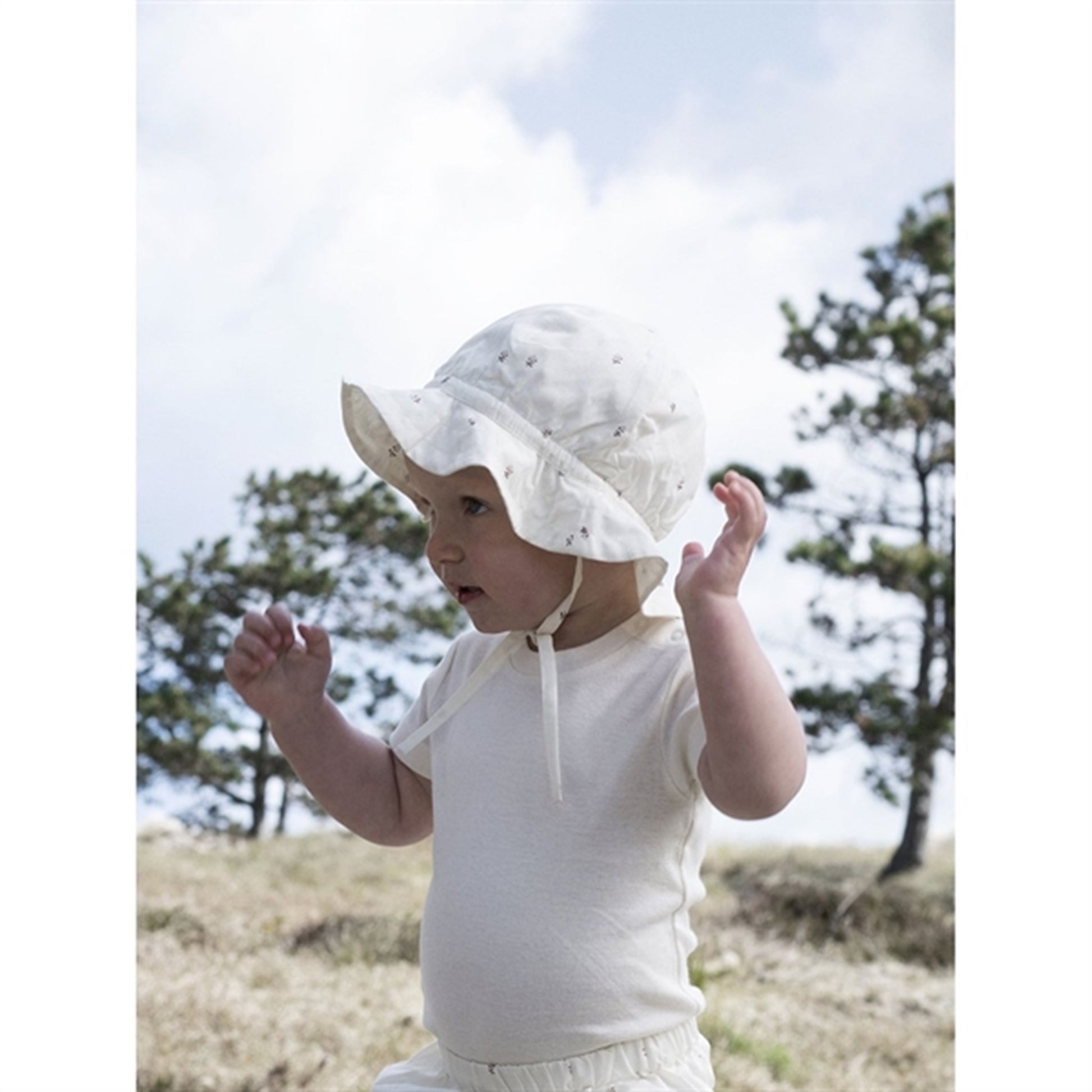 Serendipity Aster Sunhat