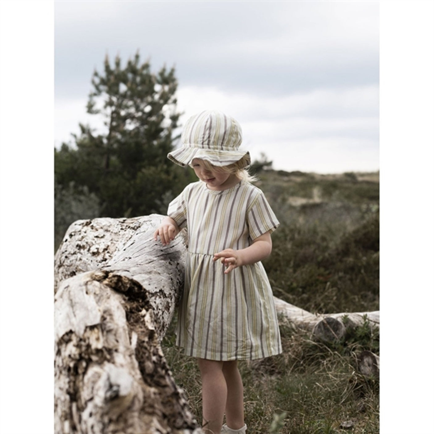 Serendipity Misty Stripes Loose Dress