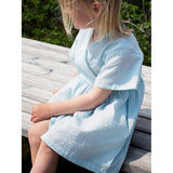 Serendipity Aquachecks Dress