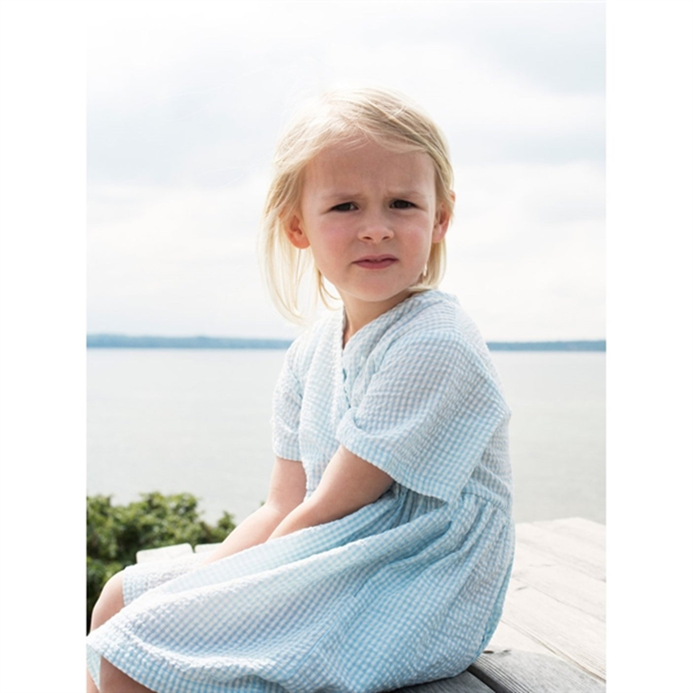 Serendipity Aquachecks Dress