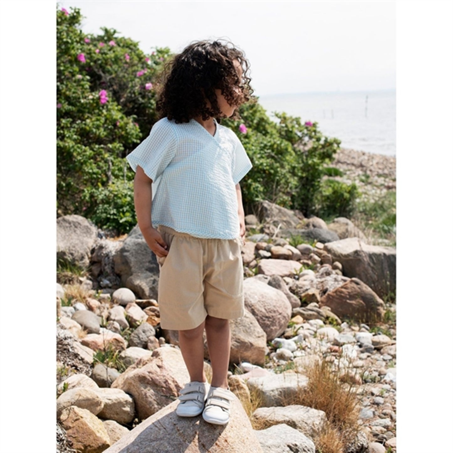 Serendipity Safari Shorts