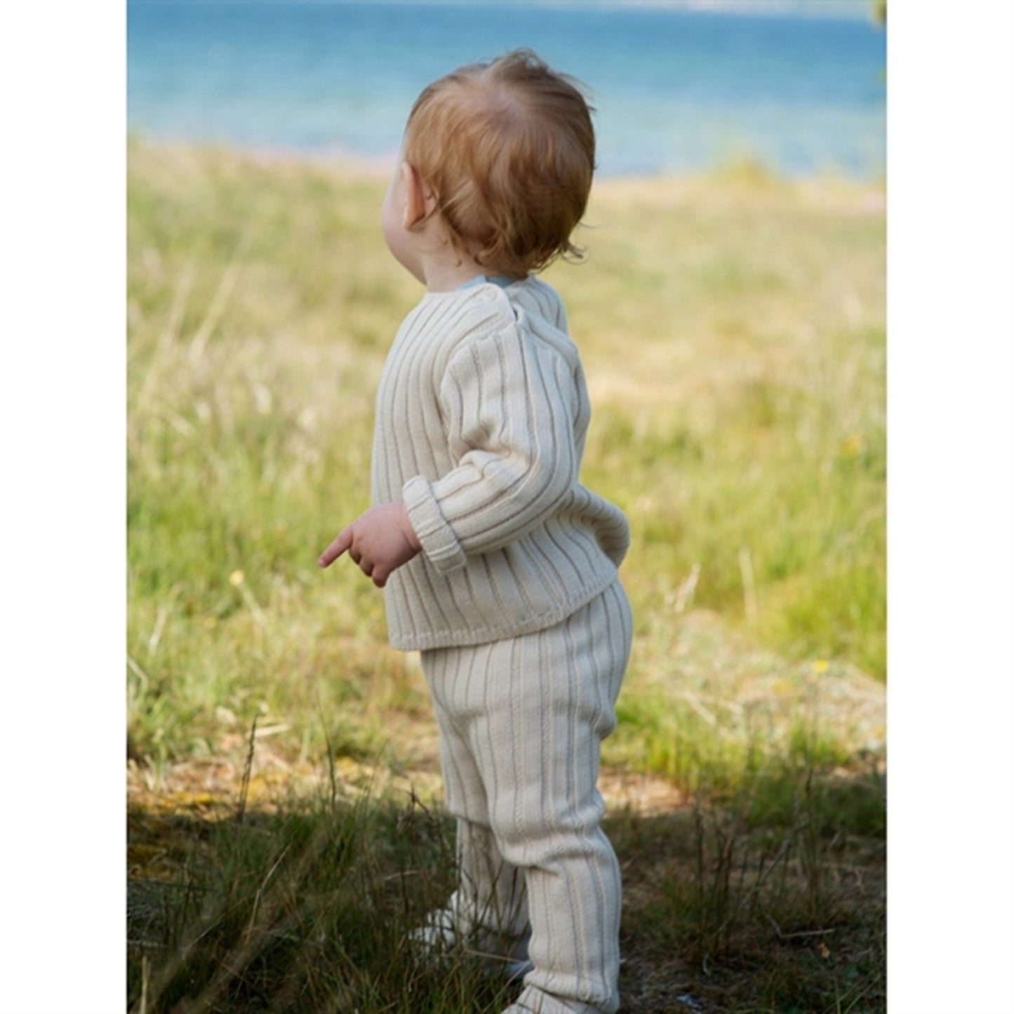 Serendipity Seashell Baby Rib Blouse