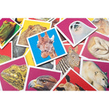 Tactic Games Memo Wild Animals