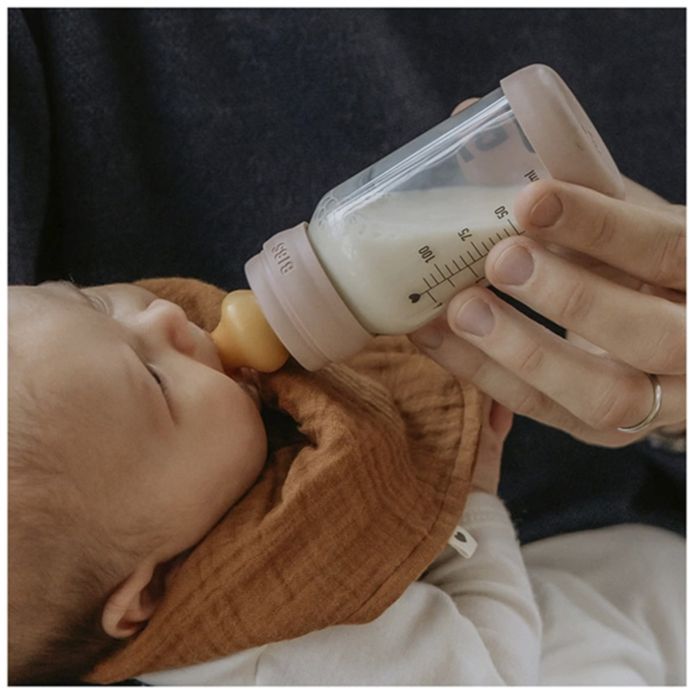 Bibs Bottle Nipple 2 Pack Medium Flow