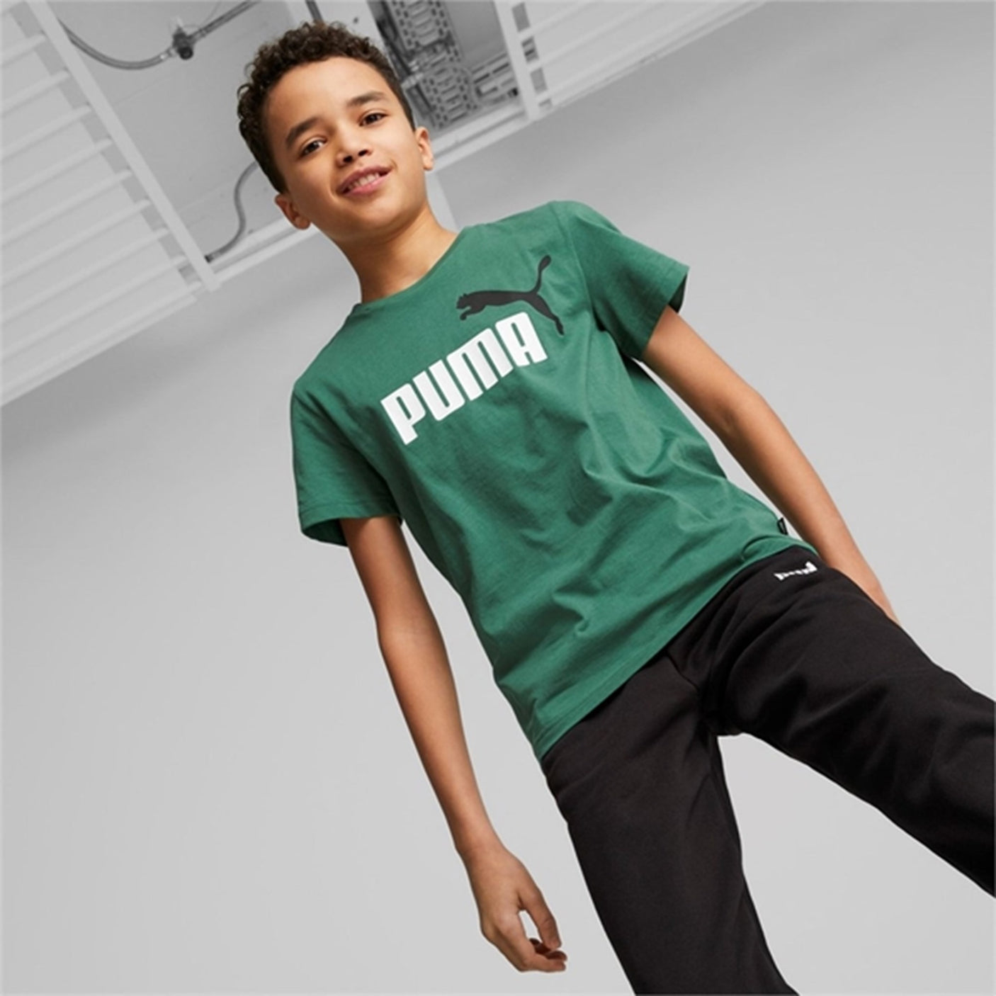 Puma ESS+ 2 Col Logo T-shirt Vine
