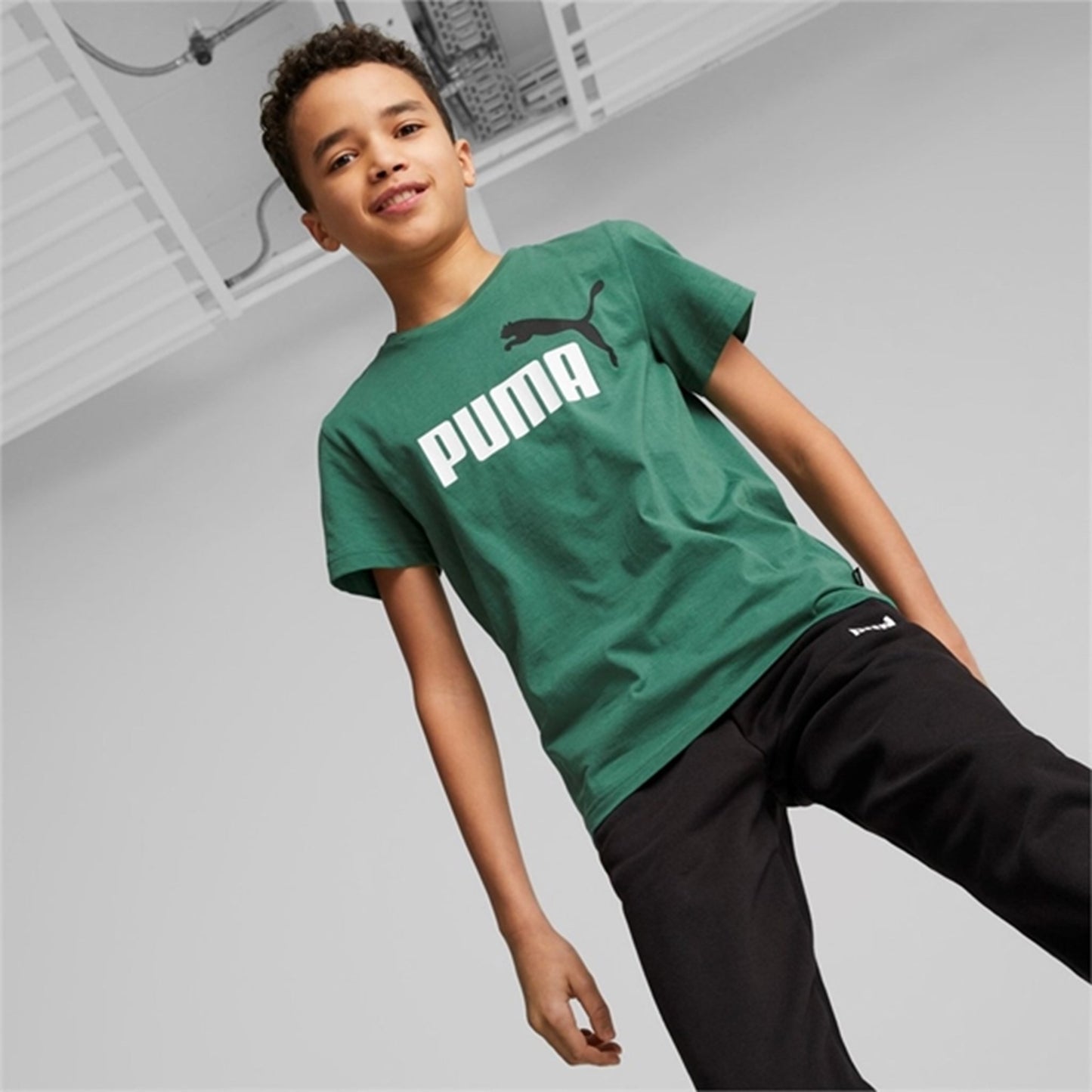 Puma ESS+ 2 Col Logo T-shirt Vine