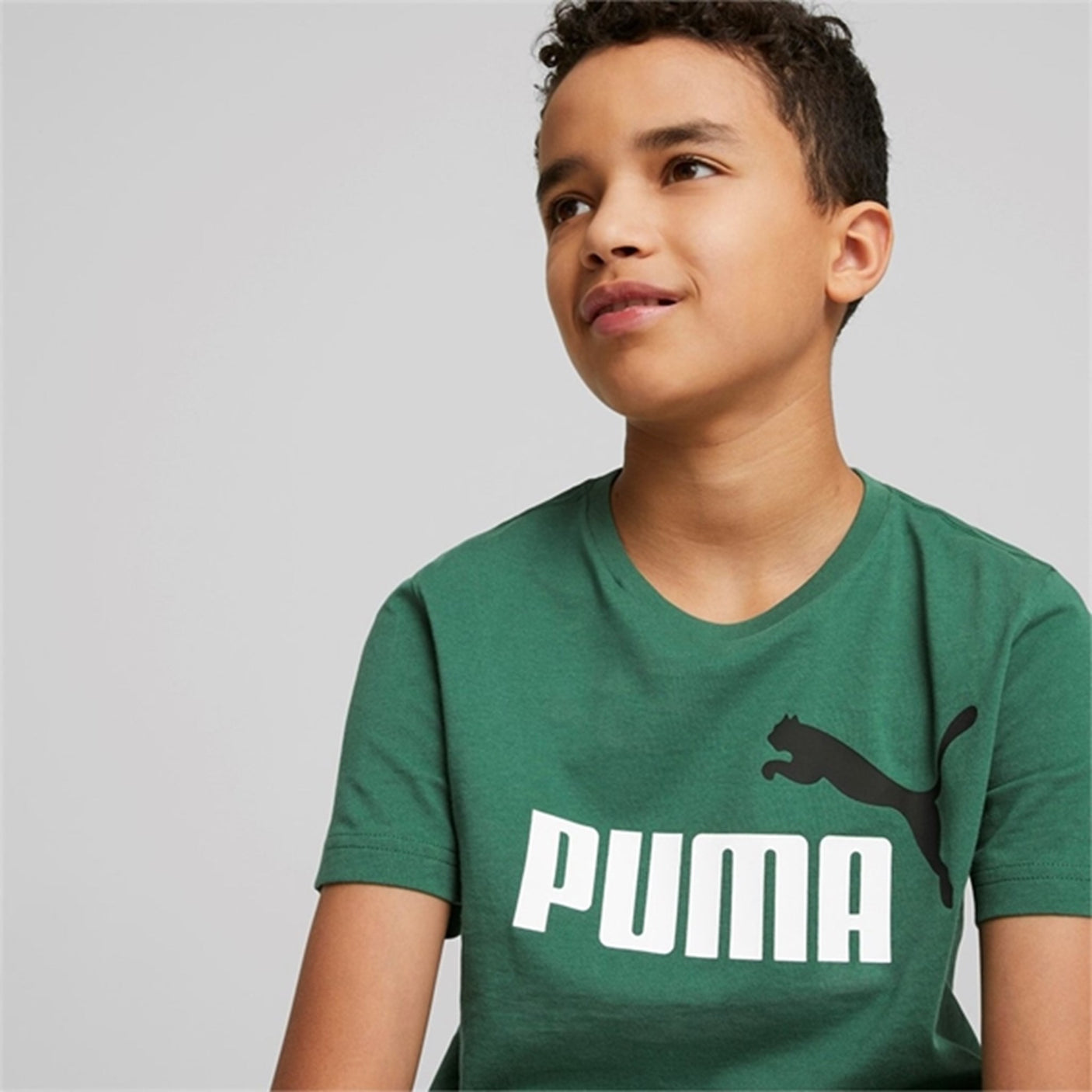 Puma ESS+ 2 Col Logo T-shirt Vine