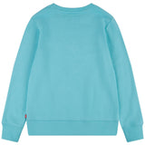 Levi's French Terry Batwing Pullover Green