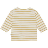 Molo Cardboard Stripe Edarko Shirt
