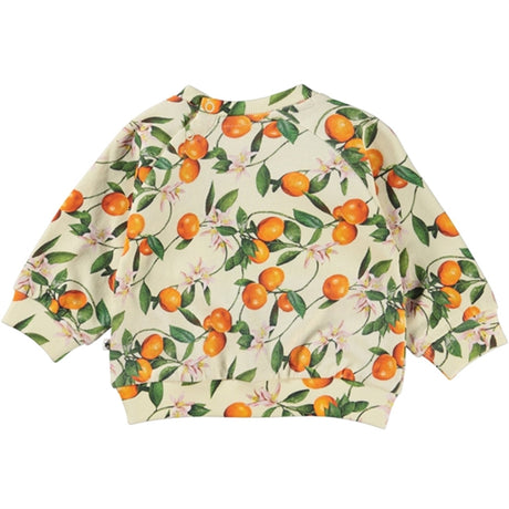 Molo Mini Mandarins Disc Sweatshirt